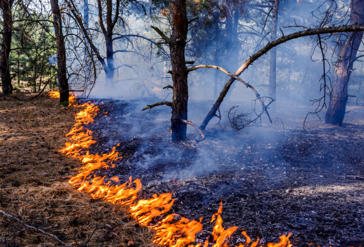 Ønsker større fokus på konflikt mellom bebyggelse og skogbranner Direktoratet for samfunnssikkerhet og beredskap registrerte 33 skogbranner i mars.