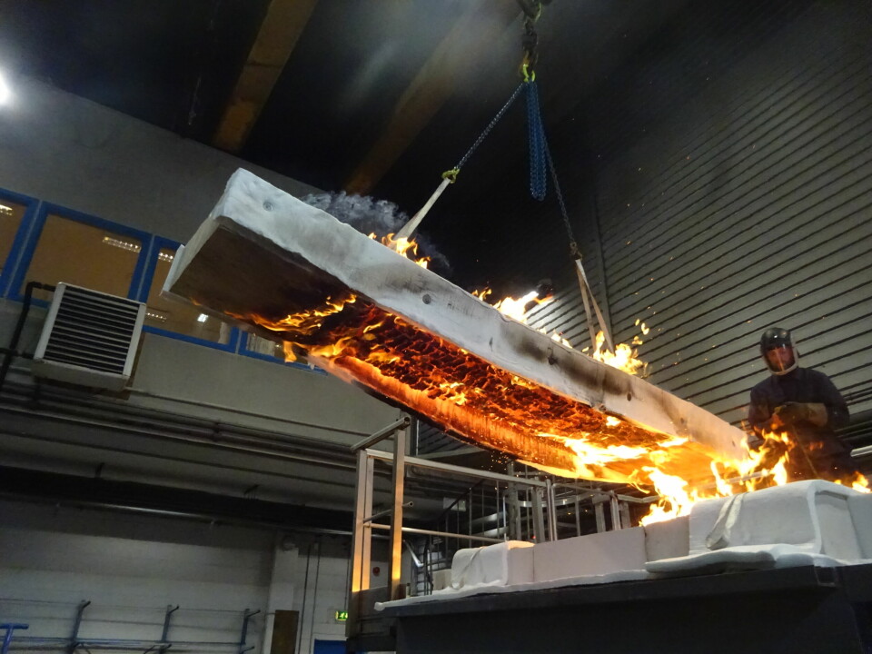 Et prøvestykke som simulerer et massivtre-element løftes av fra ovnen etter avsluttet test hos RISE Fire Research i Trondheim. FIRENWOOD-prosjektet har gjort til sammen over 2.000 små- og storskala eksperimenter med ulike typer lim.
