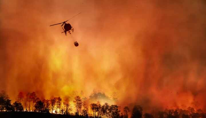 Det vil kunne bli flere og større skogbranner i årene som kommer.